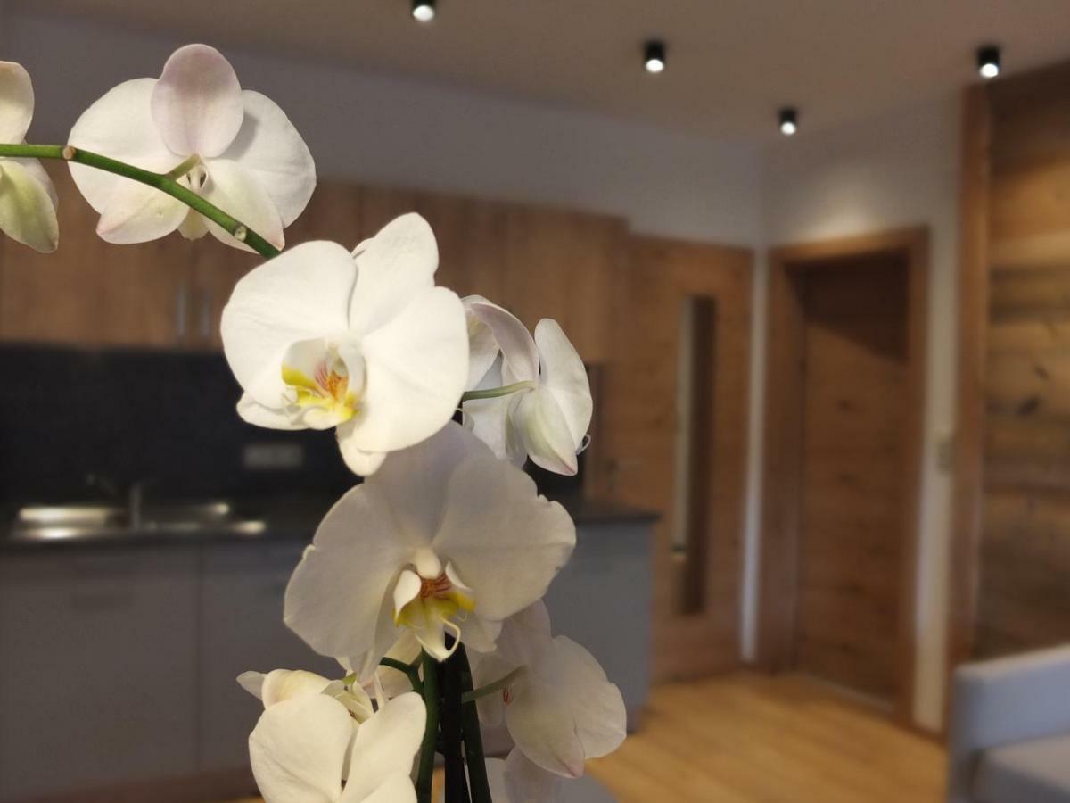 Apartment Haus Dahoam Alpbach Pokoj fotografie
